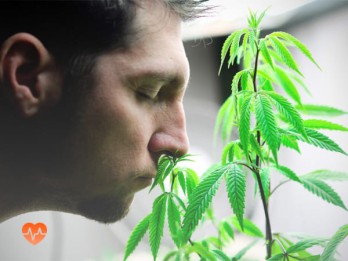 Детоксикация от марихуаны в Усть-Донецком